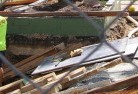 Forest Glen QLDlandscape-demolition-and-removal-2.jpg; ?>